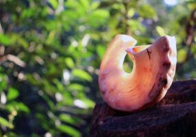 A,Shofar,In,The,Evening