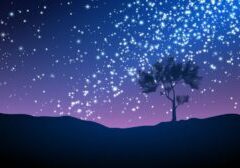 Night landscape with lonely tree under the stars. Milky way. Desert night. Beautiful night sky with stars. Vector illustration. EPS 10.